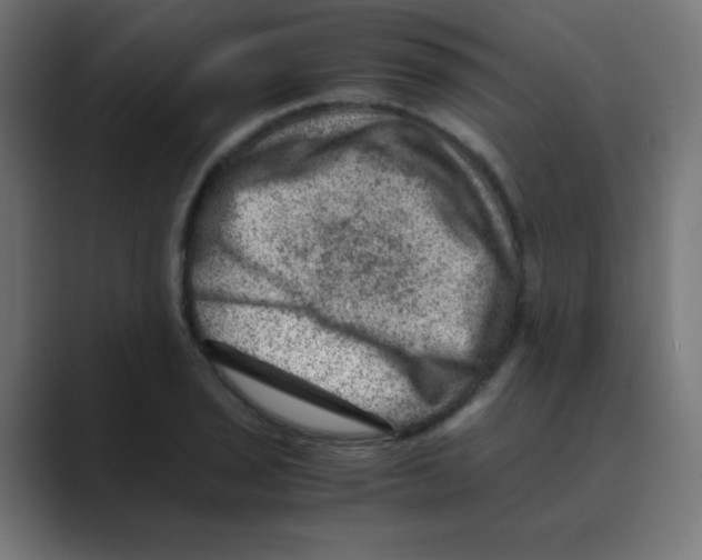 X0000088441029200706191249