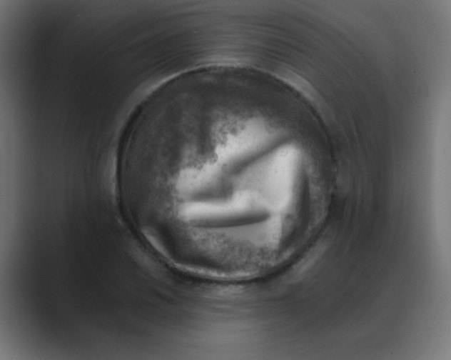 X0000088441030200706191249