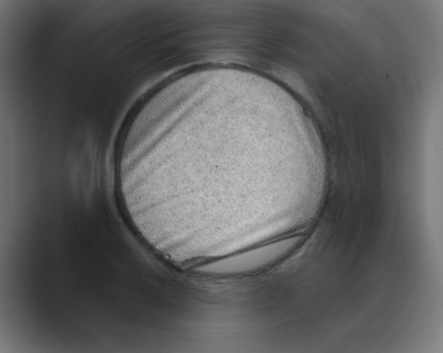 X0000088441032200706191249