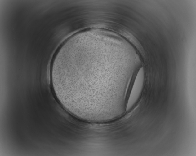X0000088441036200706191249