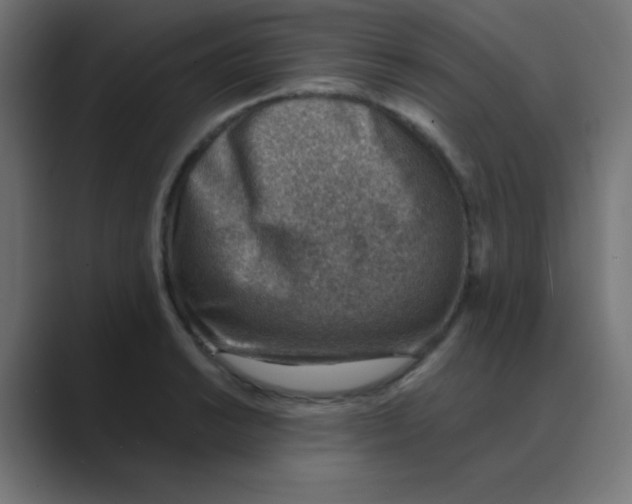 X0000088441038200706191249