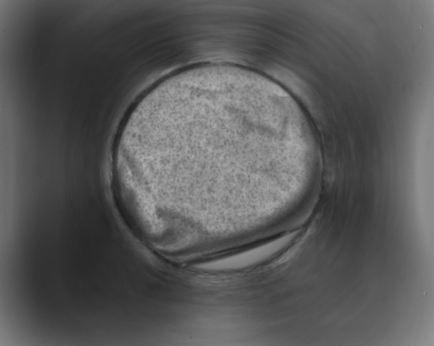 X0000088441040200706191249