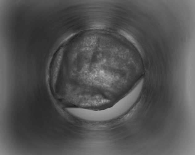 X0000088441042200706191249