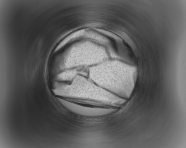 X0000088441044200706191249