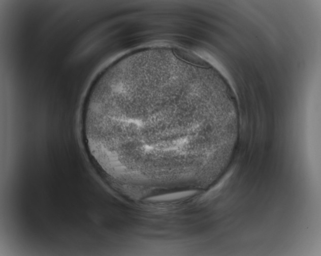X0000088441045200706191249
