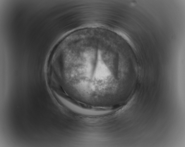 X0000088441046200706191249