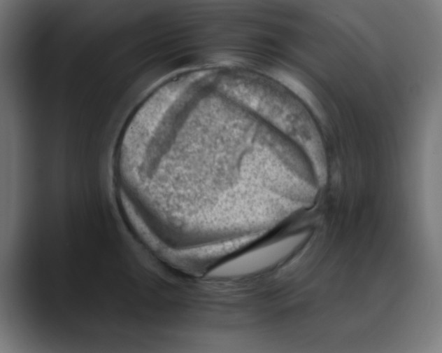 X0000088441047200706191249