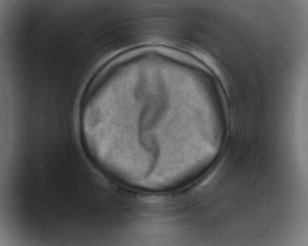 X0000088441048200706191249