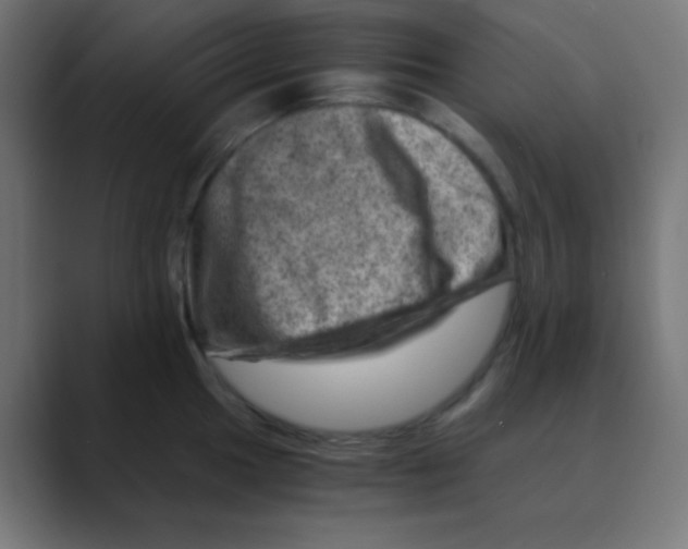 X0000088441049200706191249