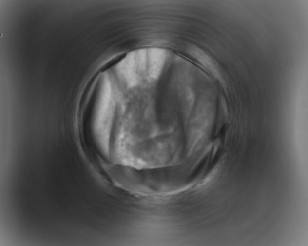 X0000088441050200706191249