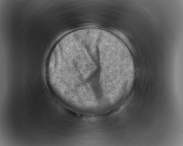 X0000088441051200706191249