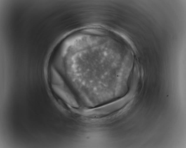 X0000088441054200706191249