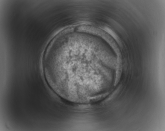 X0000088441055200706191249