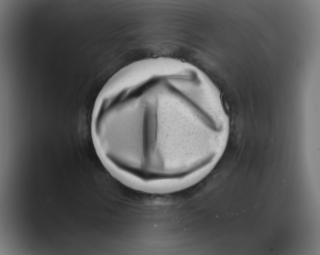 X0000088441058200706191248