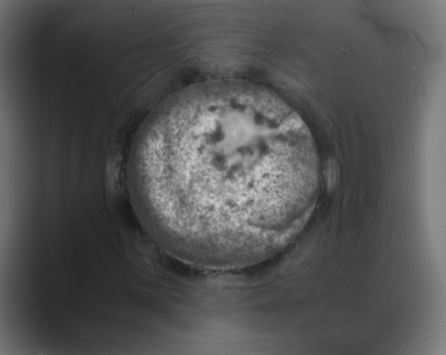 X0000088441059200706191248