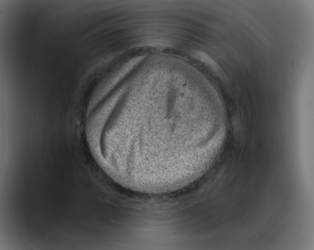 X0000088441064200706191248