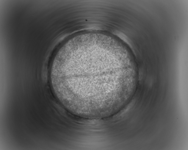 X0000088441067200706191248