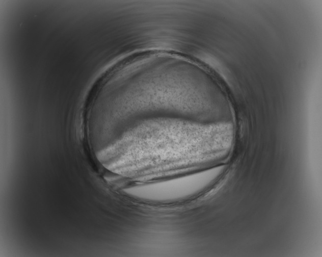 X0000088441069200706191248