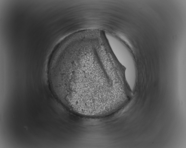 X0000088441071200706191248