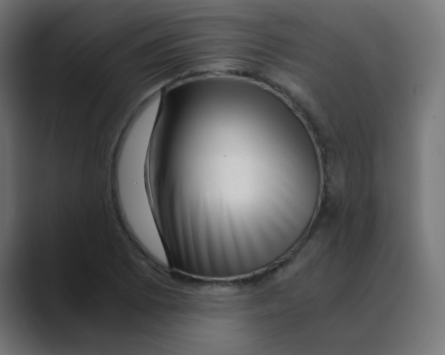 X0000088441073200706191248