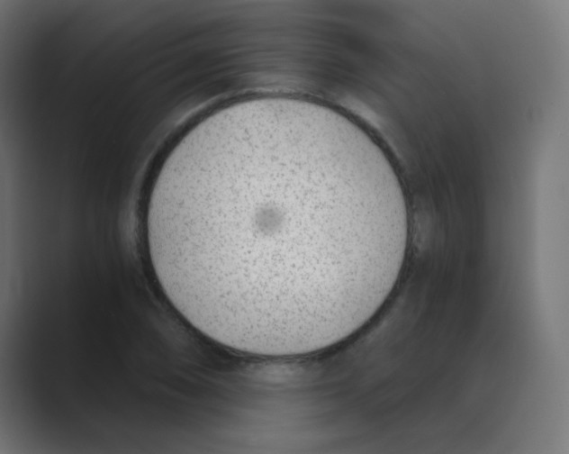 X0000088441074200706191248
