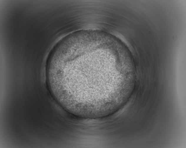 X0000088441075200706191248