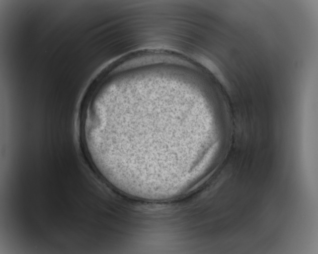 X0000088441076200706191248