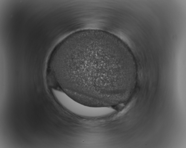 X0000088441077200706191248