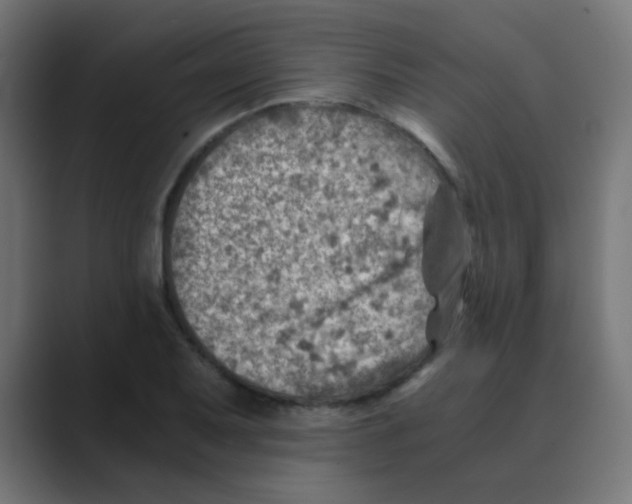 X0000088441079200706191248
