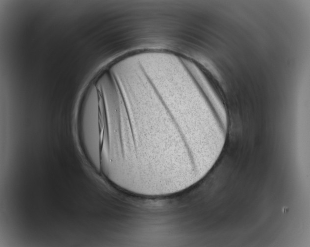 X0000088441080200706191248