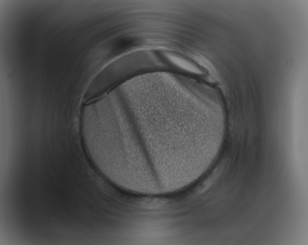 X0000088441081200706191248