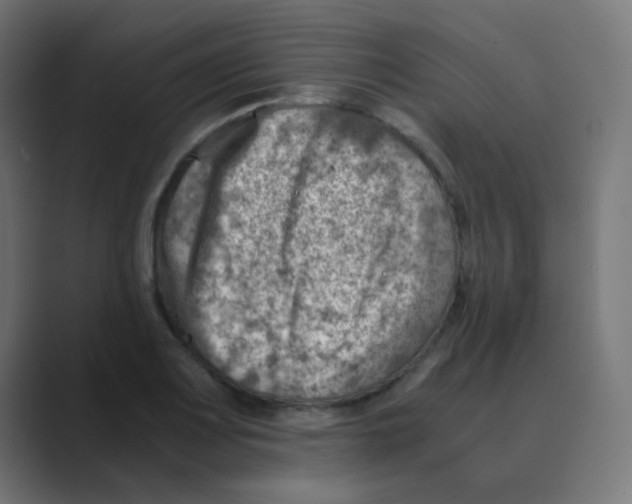 X0000088441083200706191248