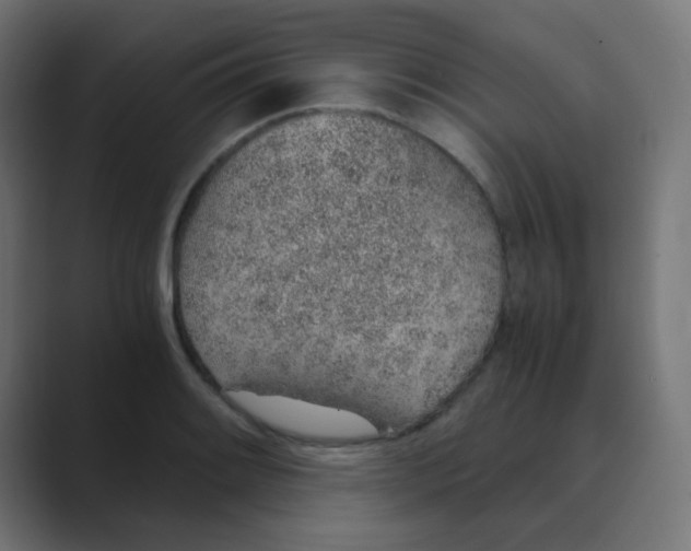 X0000088441084200706191248