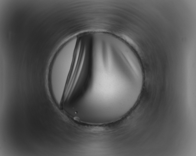 X0000088441085200706191248