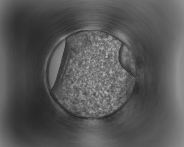 X0000088441087200706191248