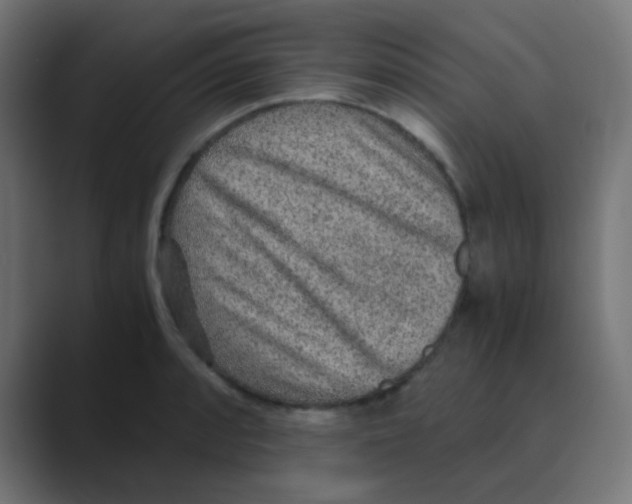 X0000088441088200706191248