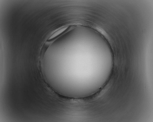 X0000088441089200706191248
