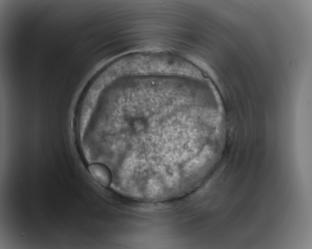 X0000088441091200706191248