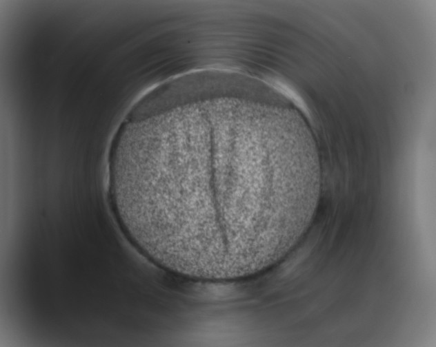 X0000088441095200706191248