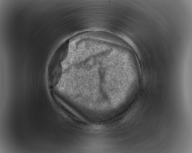 X0000088441096200706191248