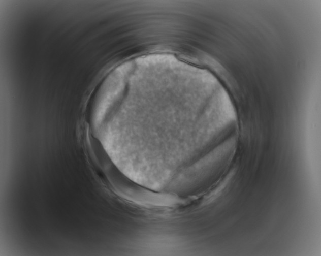 X0000088441097200706191248