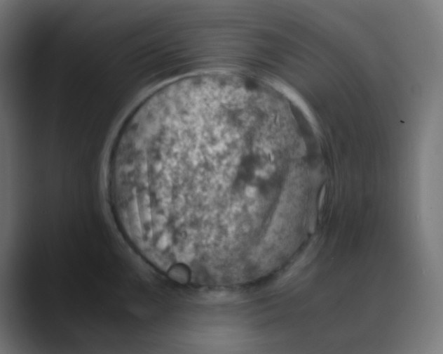 X0000088441099200706191248