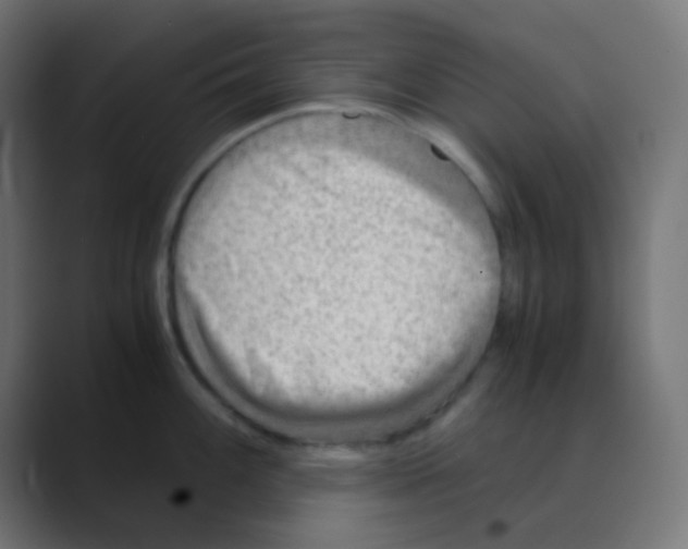 X0000088441100200706191248