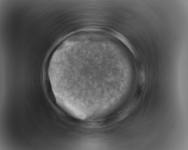 X0000088441101200706191248