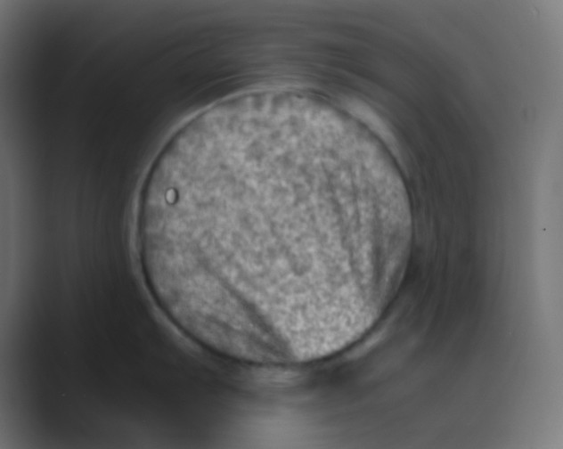 X0000088441103200706191248