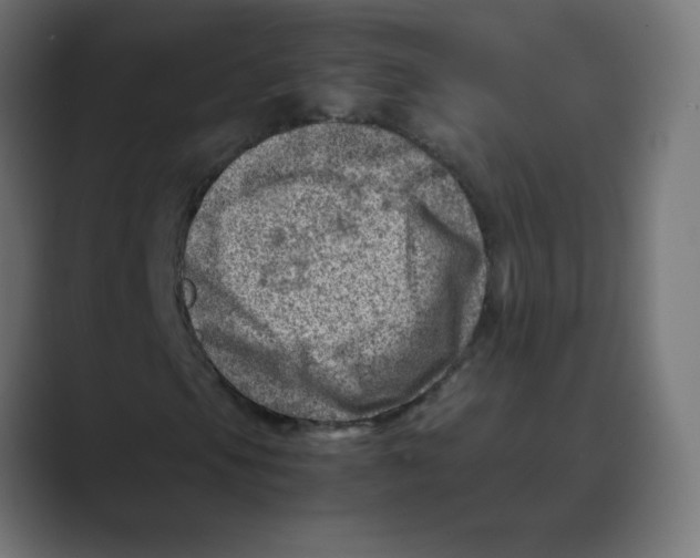 X0000088441105200706191247