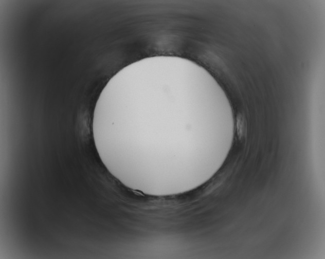 X0000088441107200706191247
