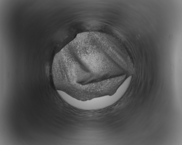 X0000088441108200706191247