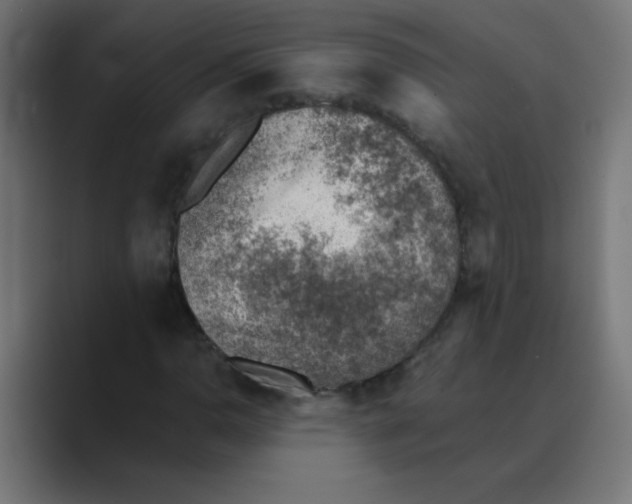 X0000088441110200706191247