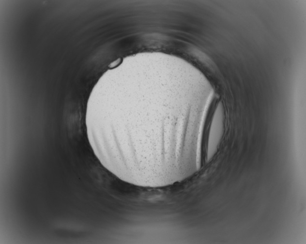 X0000088441111200706191247